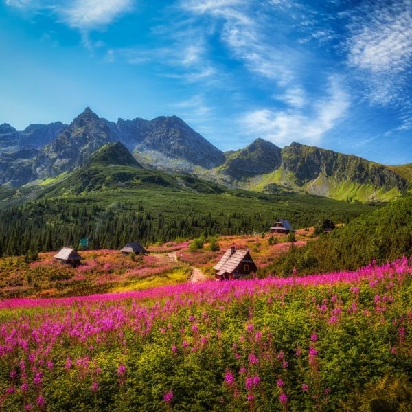 Natural Beauty of Tatra Mountain Range