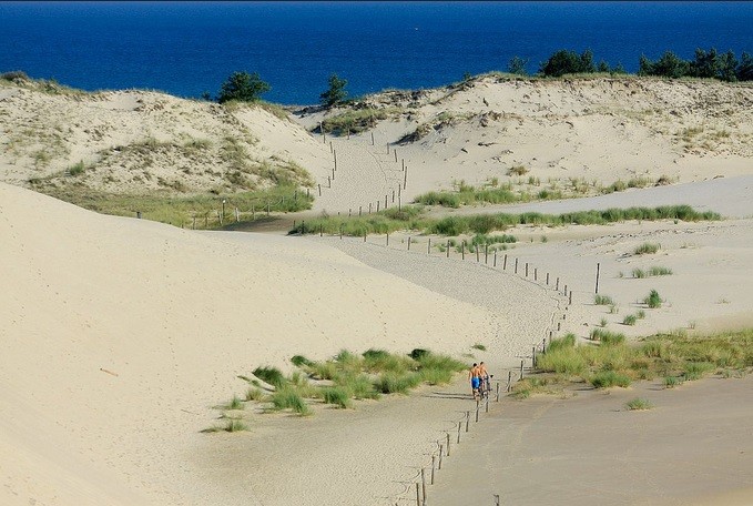 Moving Dunes & Seals - Highlights of Łeba Vicinity