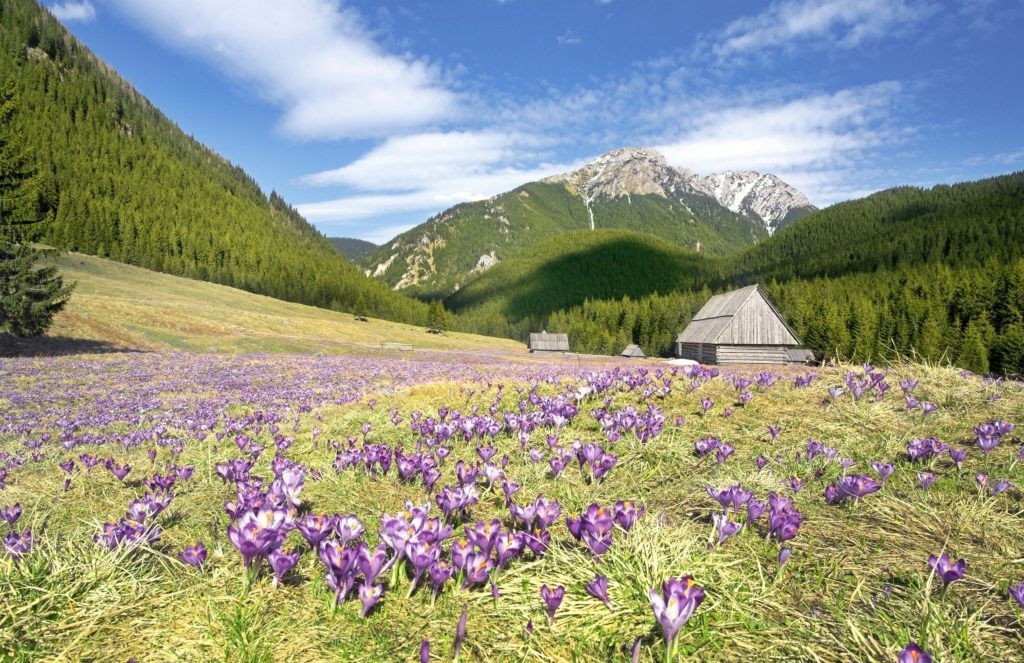 The best sites to welcome spring by ITS DMC Poland