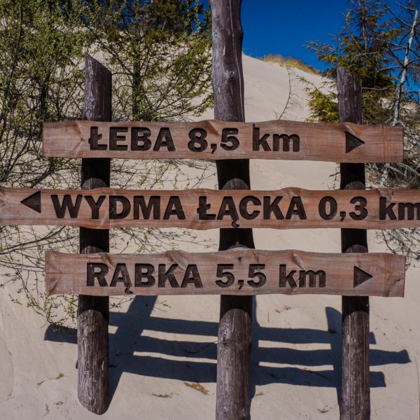 Moving Dunes & Seals - Highlights of Łeba Vicinity