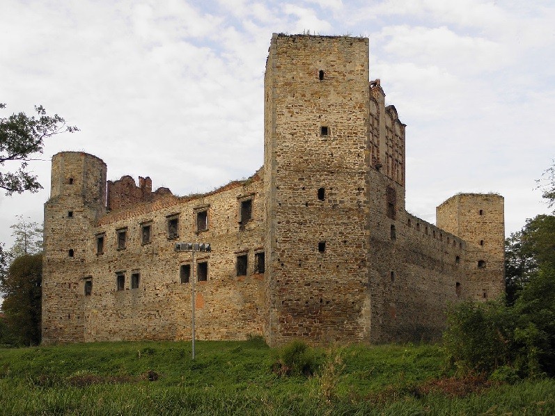Drzewica Castle 