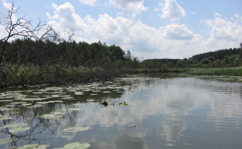 Canoeing on the Łyna River