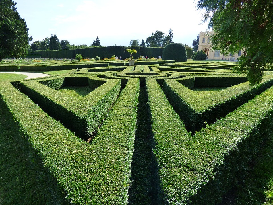 Educational farm in labyrinth