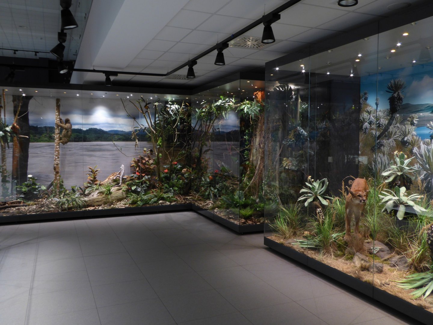 Natural History Museums in Poland