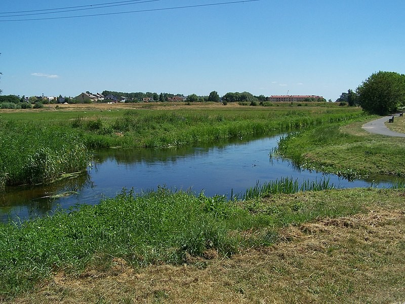 The intersection of rivers in Wągrowiec