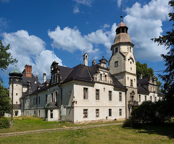 Castle in Dąbrowa Niemodlińska