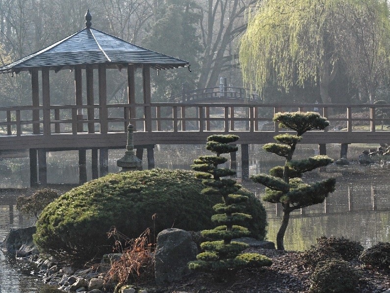 Japanese Garden Wrocław