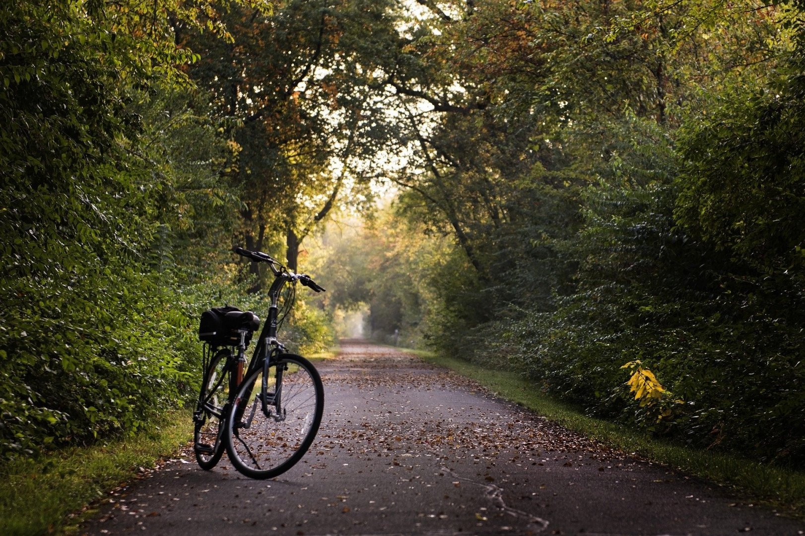 Cycling trails in Poland