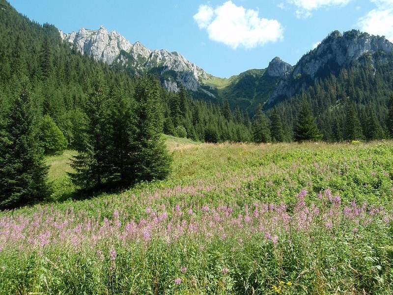 Trekking Holidays - Tatras for Begginers