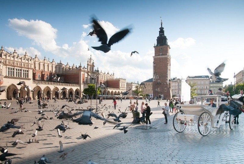 Natural Cracow (5 days)