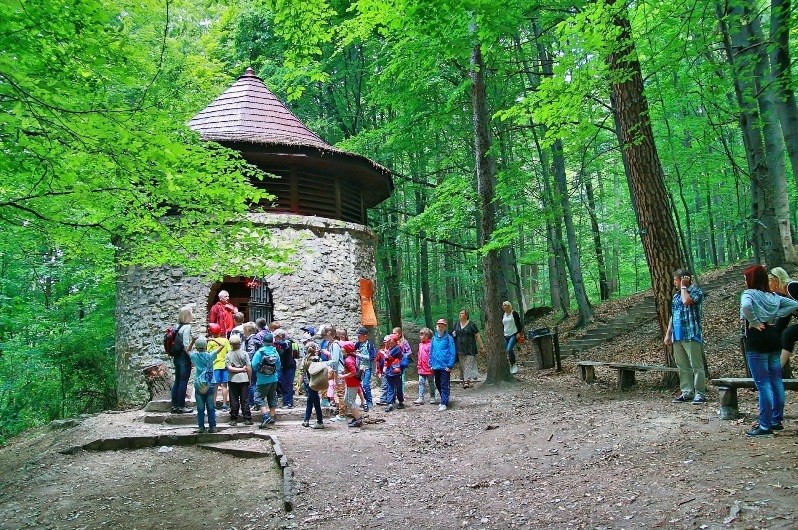 Mining Heritage of Silesia Region