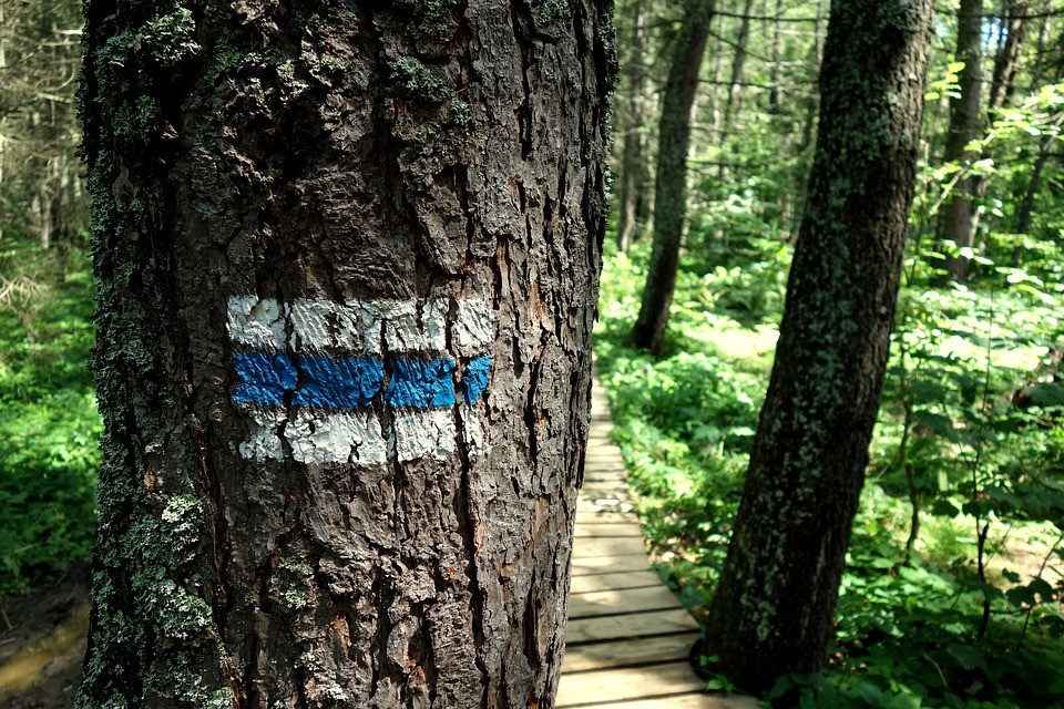 Tourist hiking trails in Poland and their signs   
