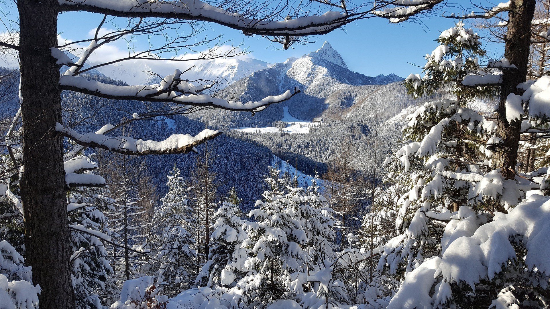What can you do in winter if you don’t ski? Winter Zakopane attractions.